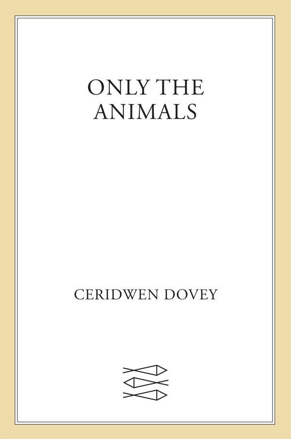 Animals Only 3525 Dovey Ceridwen
