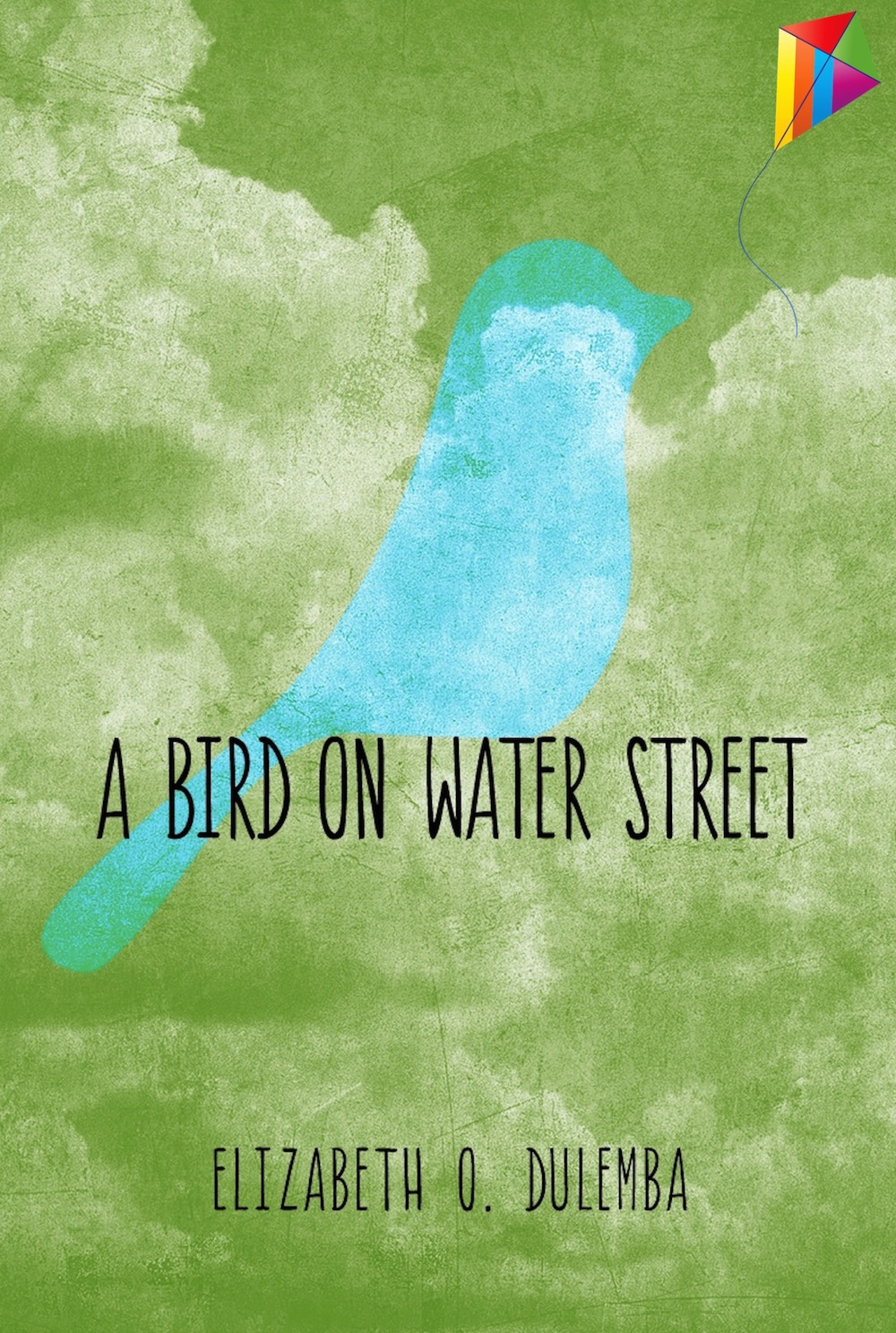 A Bird On Water Street Dulemba Elizabeth O