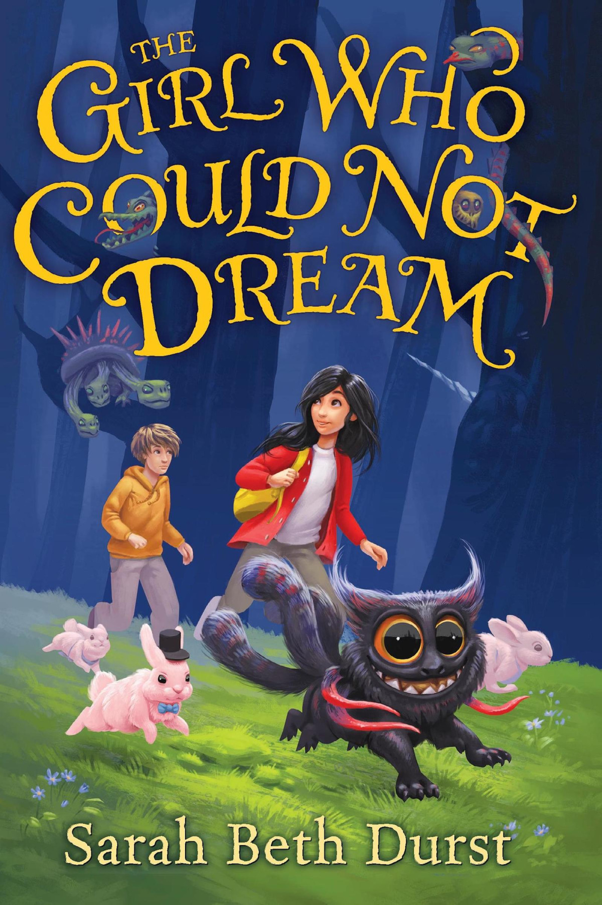 The Girl Who Could Not Dream Durst Sarah Beth