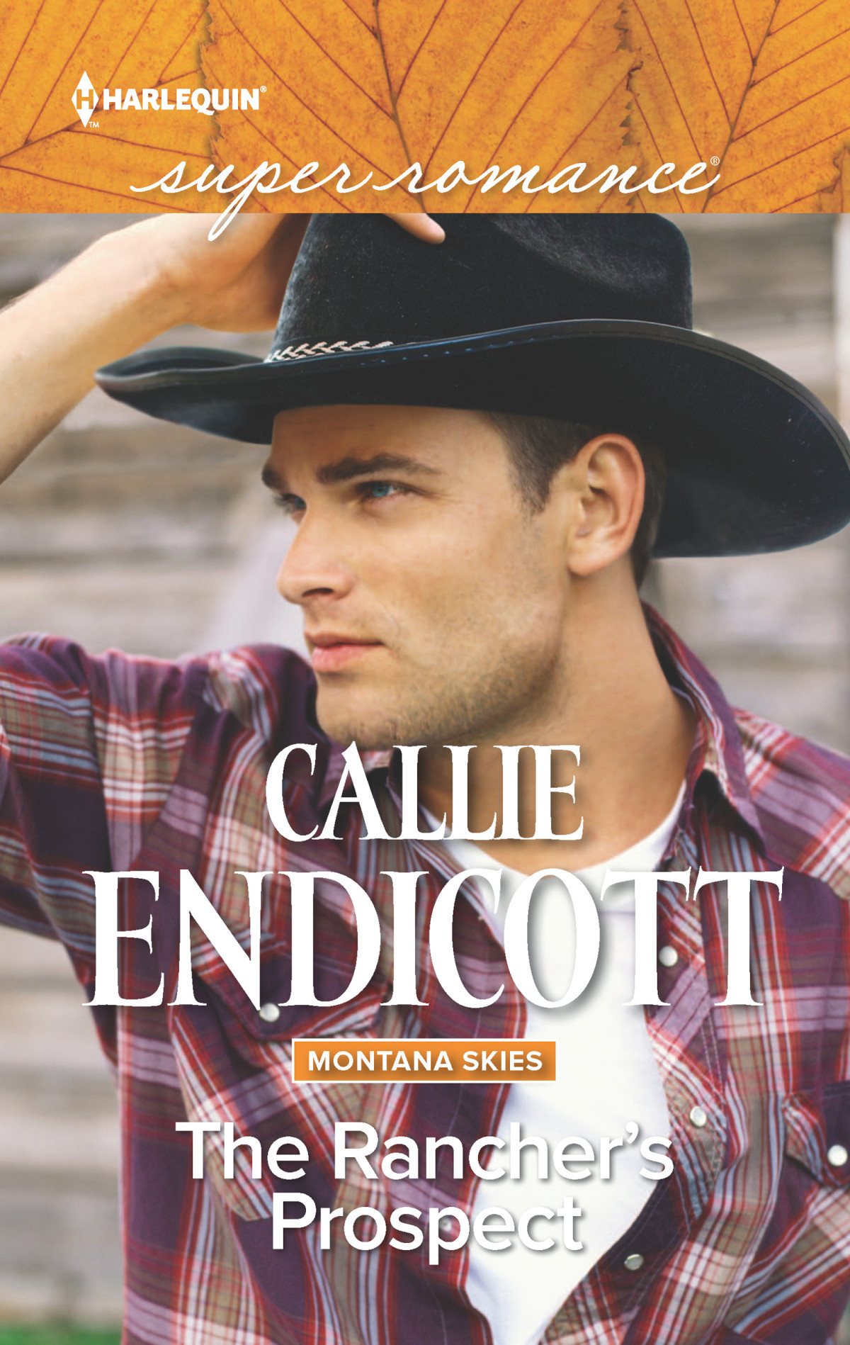 The Ranchers Prospect Endicott Callie