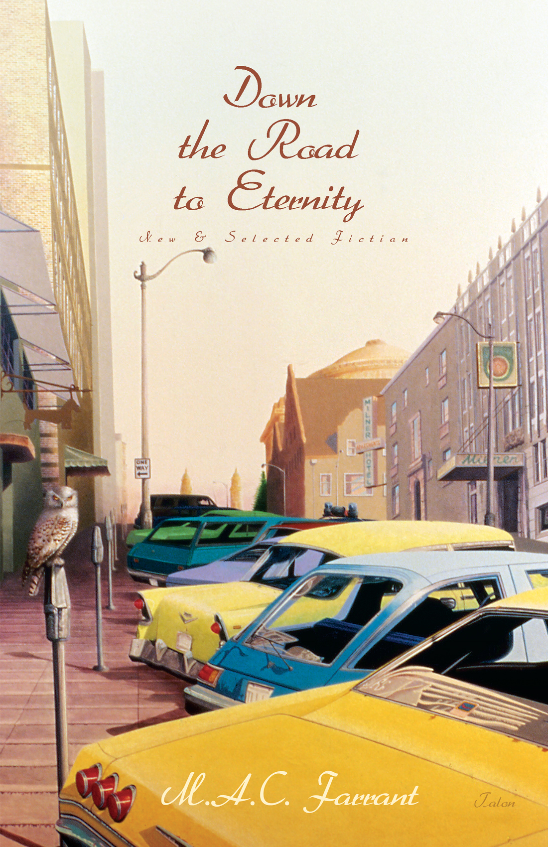 Down The Road To Eternity New And Selected Fiction Farrant M A C