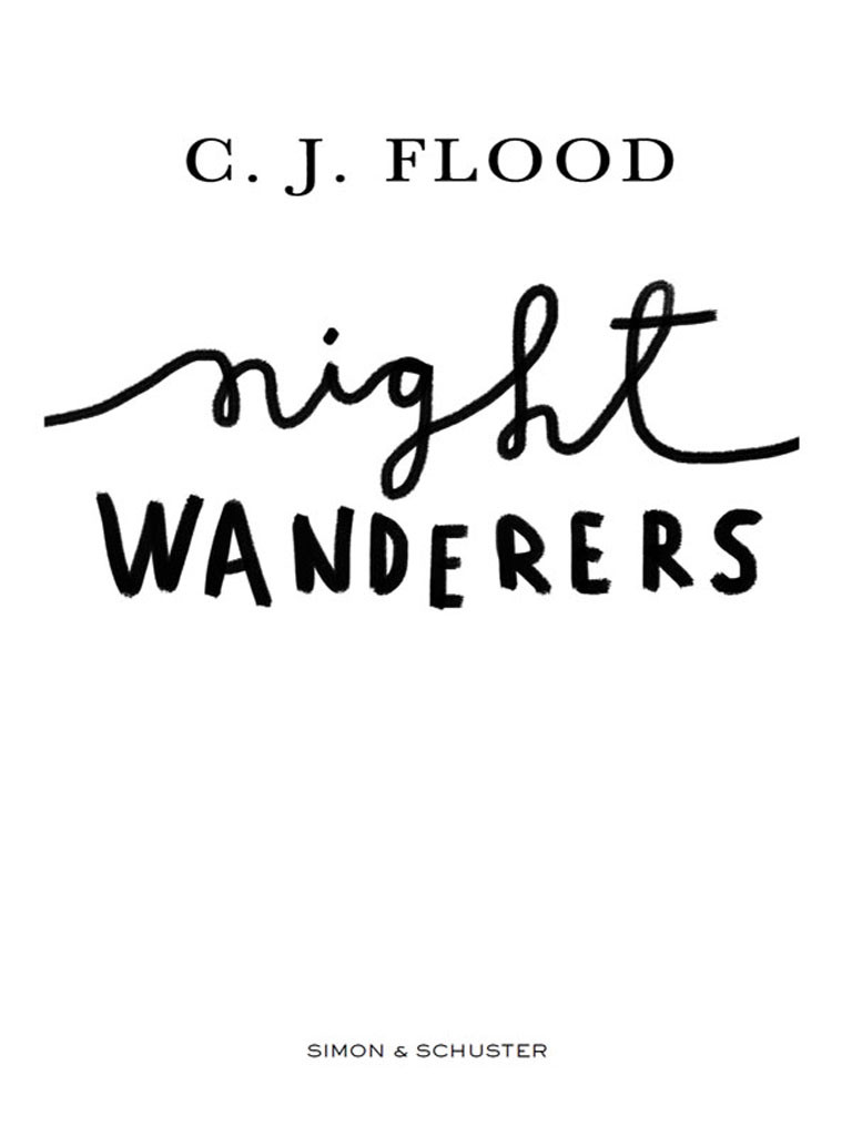 What You Become Flood C J