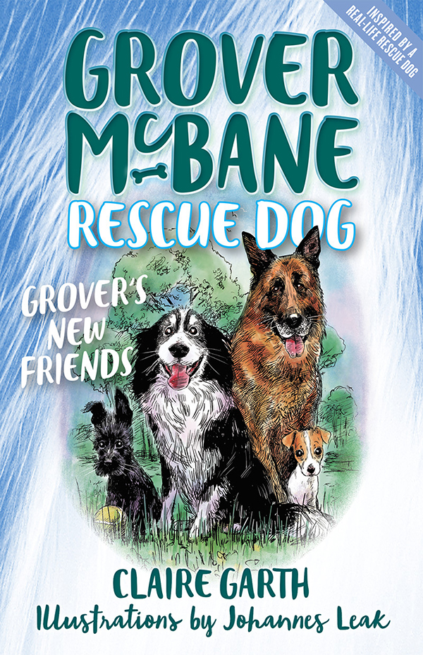 Grovers New Friends Garth Claire