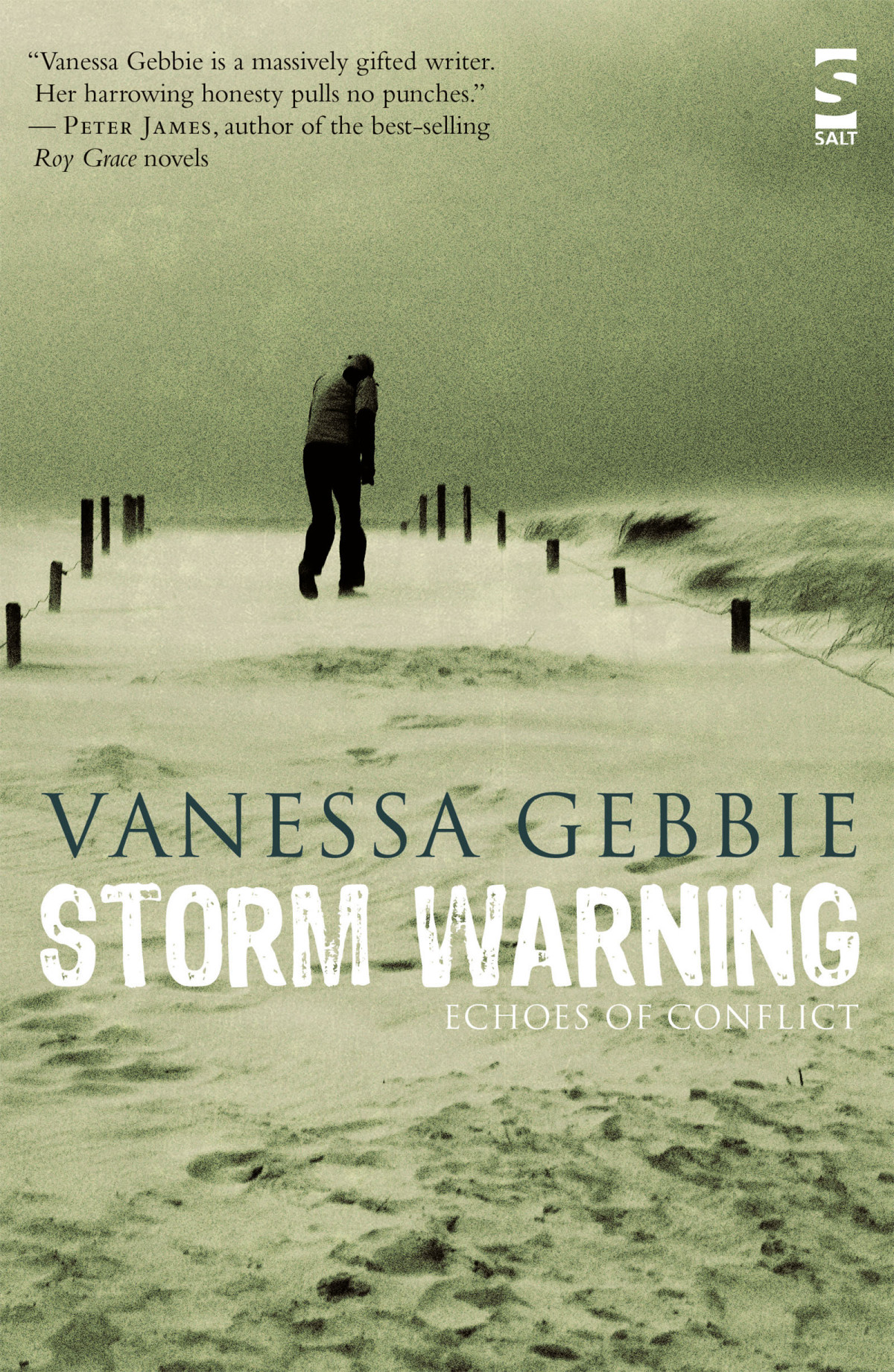 Storm Warnings Echoes Of Conflict Gebbie Vanessa