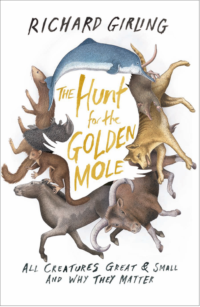 The Hunt For The Golden Mole All Creatures Great And Small And Why They Matter Girling Richard