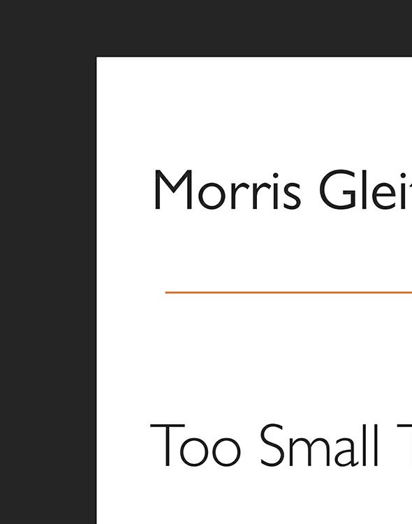 Too Small To Fail Gleitzman Morris