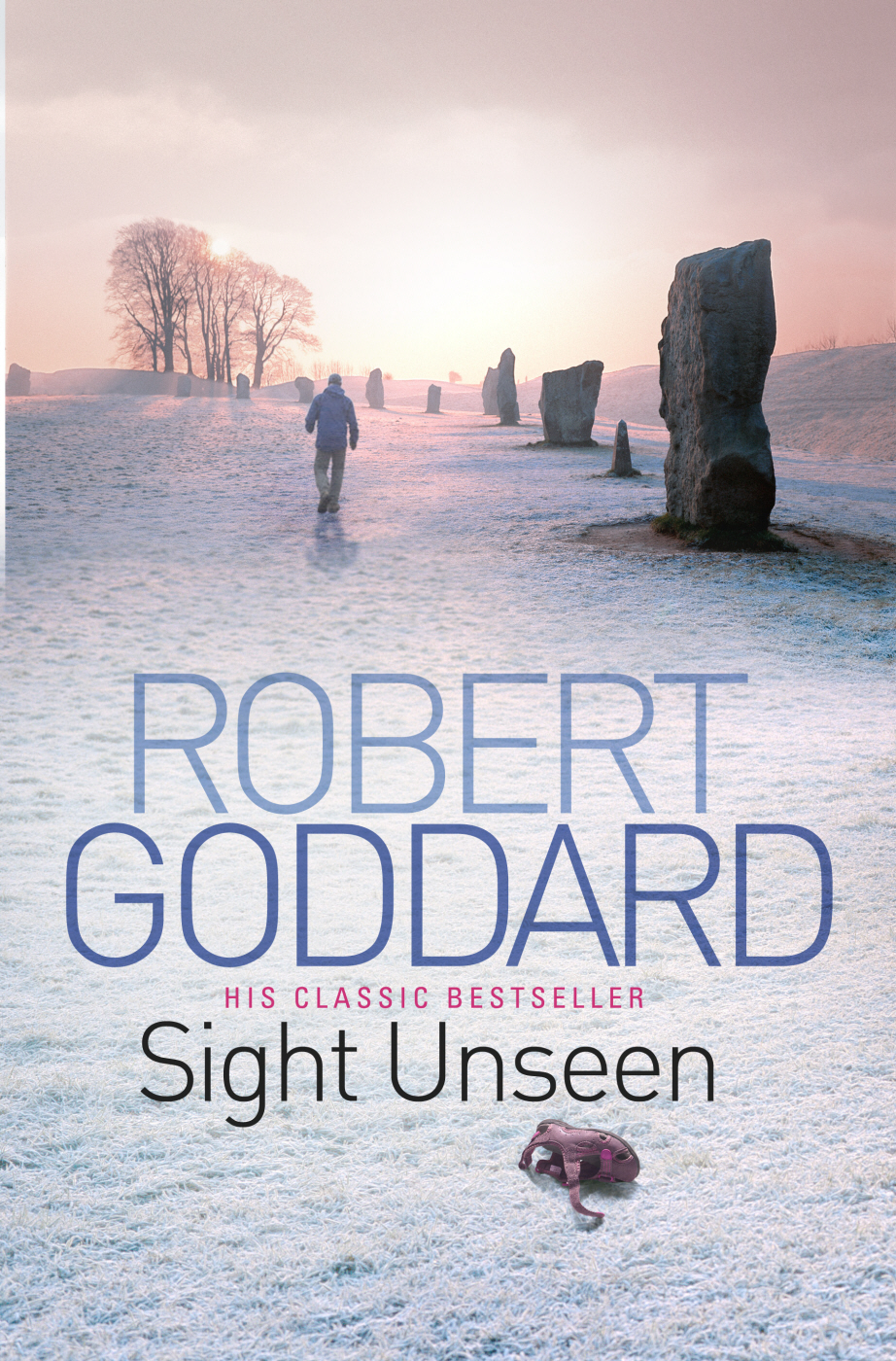 Sight Unseen Goddard Robert