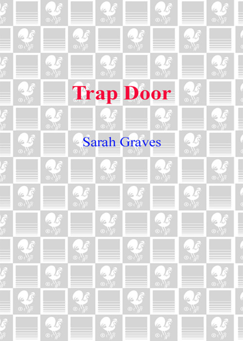 Trap Door Home Repair Is Homicide Mystery 10 Sarah Graves
