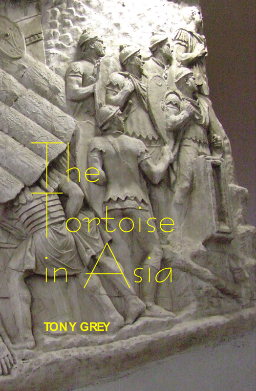 The Tortoise In Asia Grey Tony