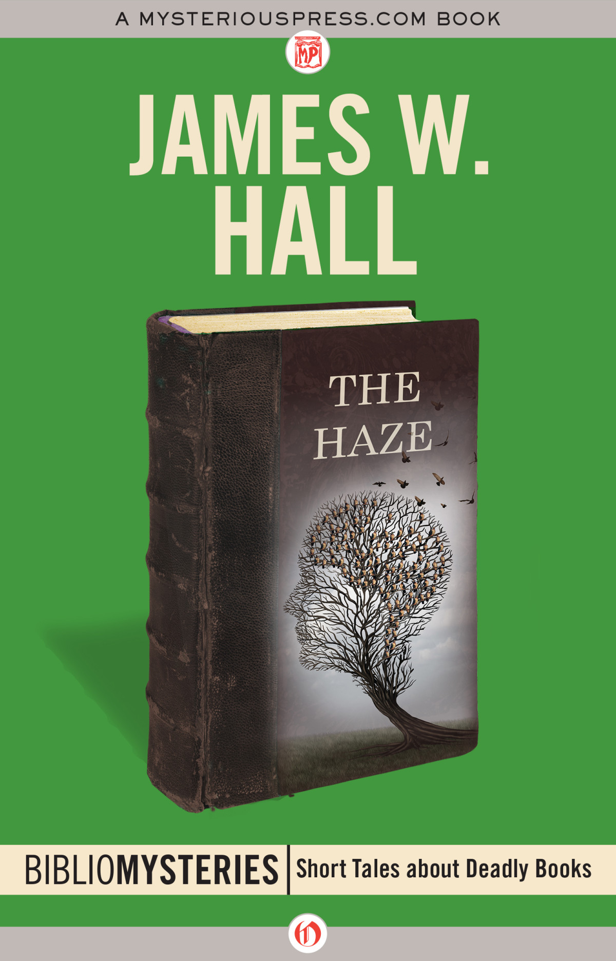 The Haze Bibliomystery 29 James W Hall