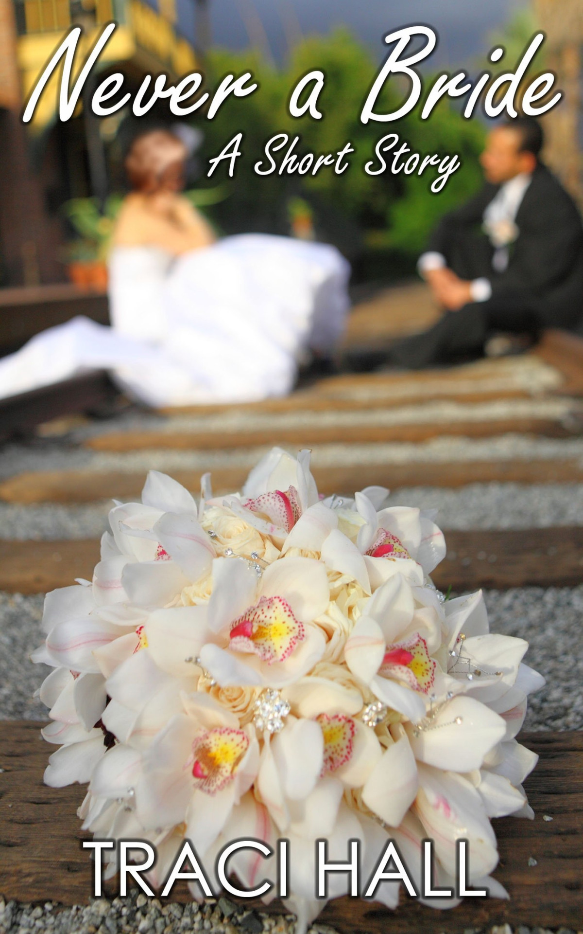 Never A Bride A Short Story Hall Traci