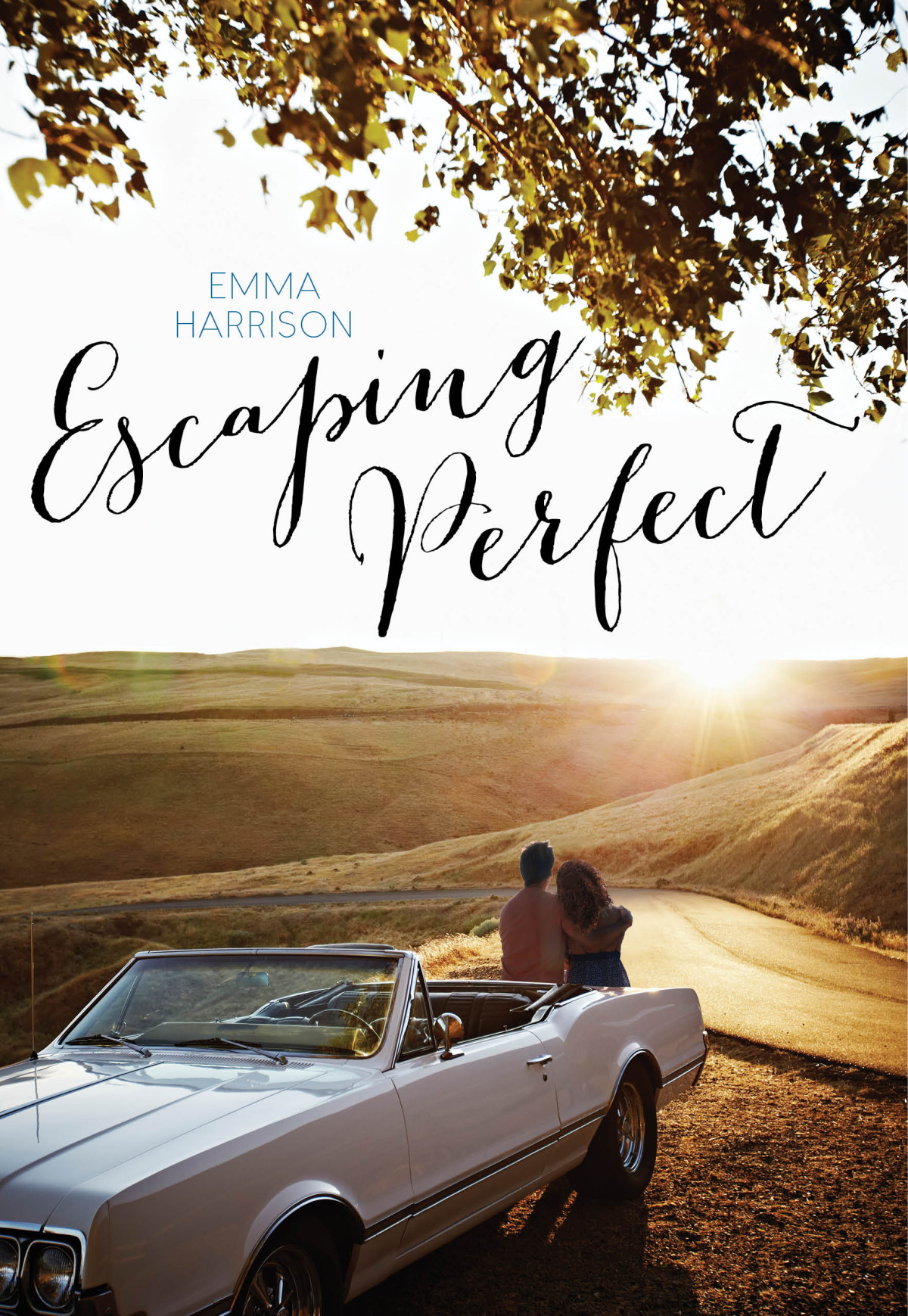 Escaping Perfect Harrison Emma