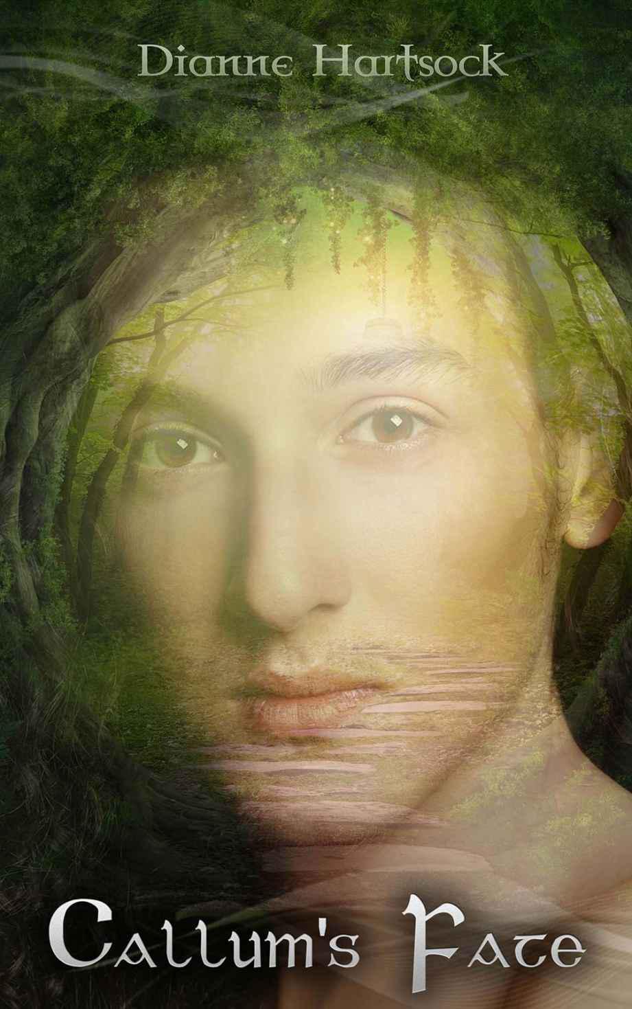 Callums Fate Hartsock Dianne