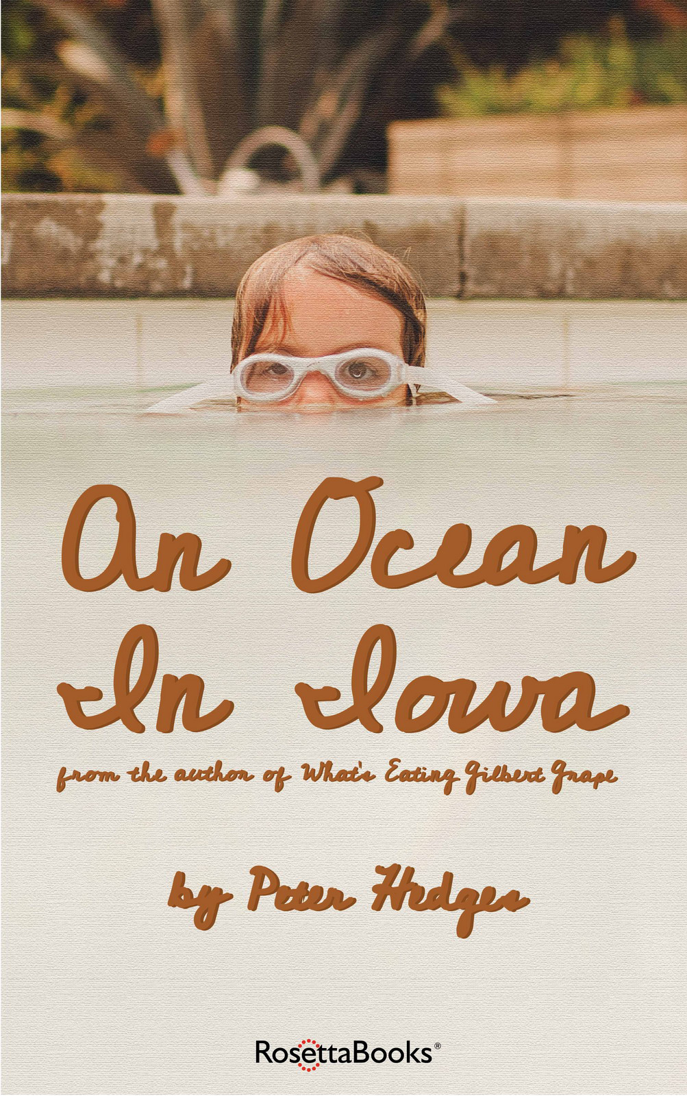 An Ocean In Iowa Hedges Peter