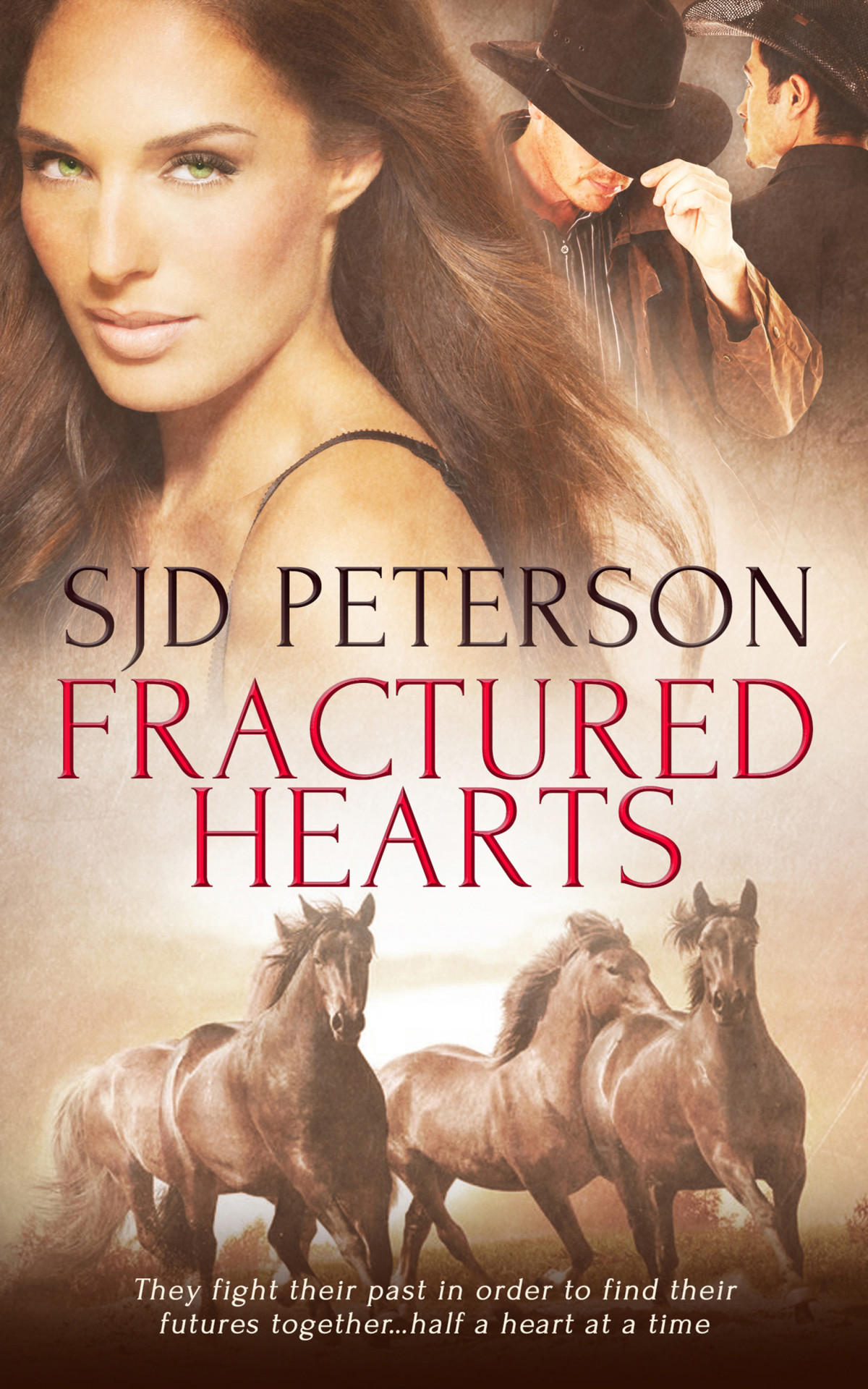 Fractured Hearts Turney S J A Peterson D