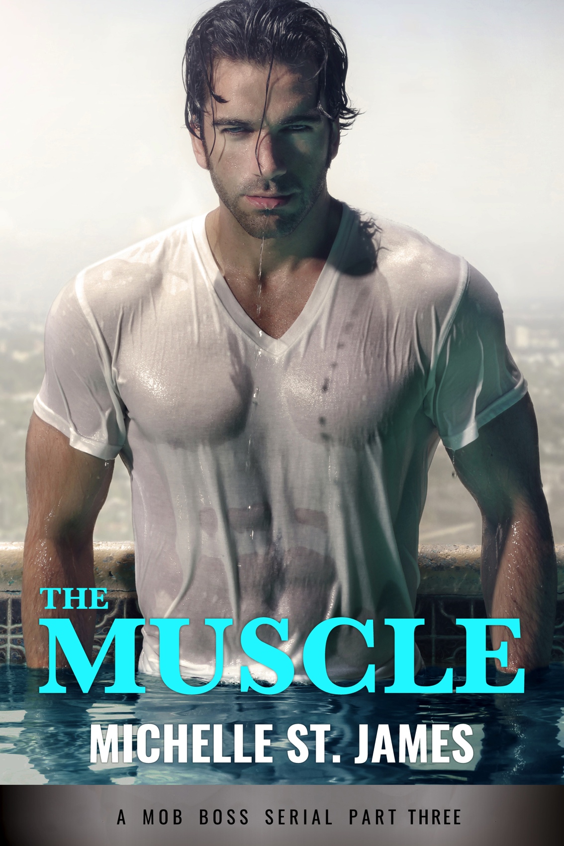 The Muscle Part Three James Michelle St