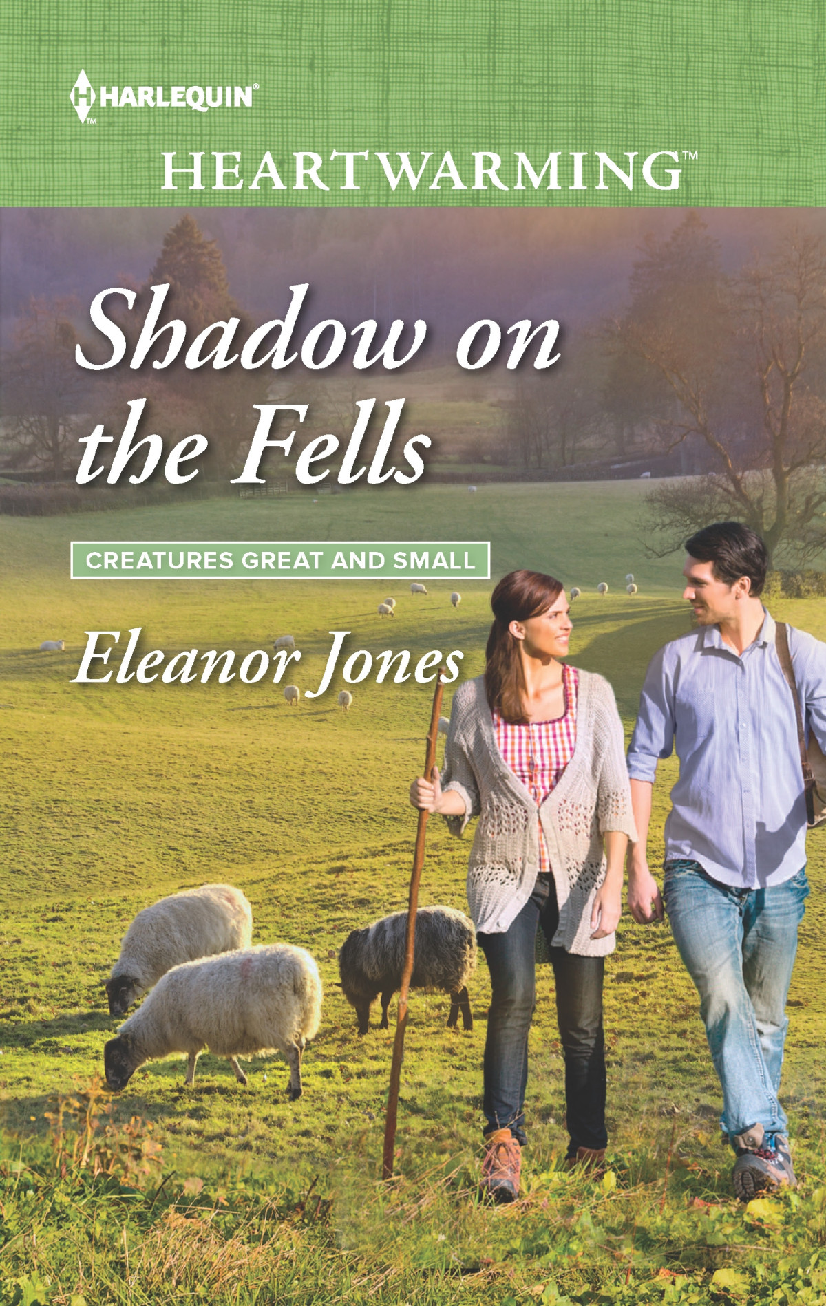 Shadow On The Fells Jones Eleanor