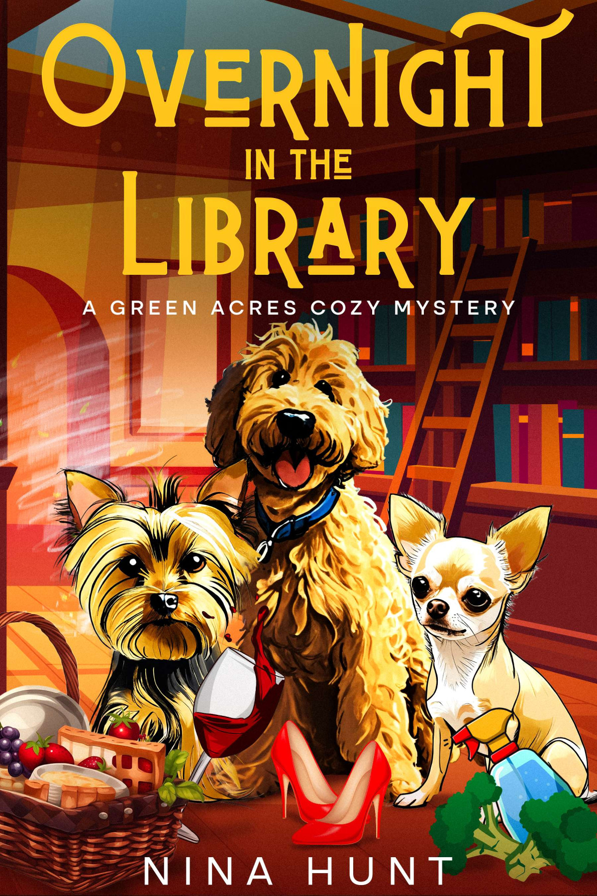 Overnight In The Library Green Acre Cozy Mystery 2 Nina Hunt