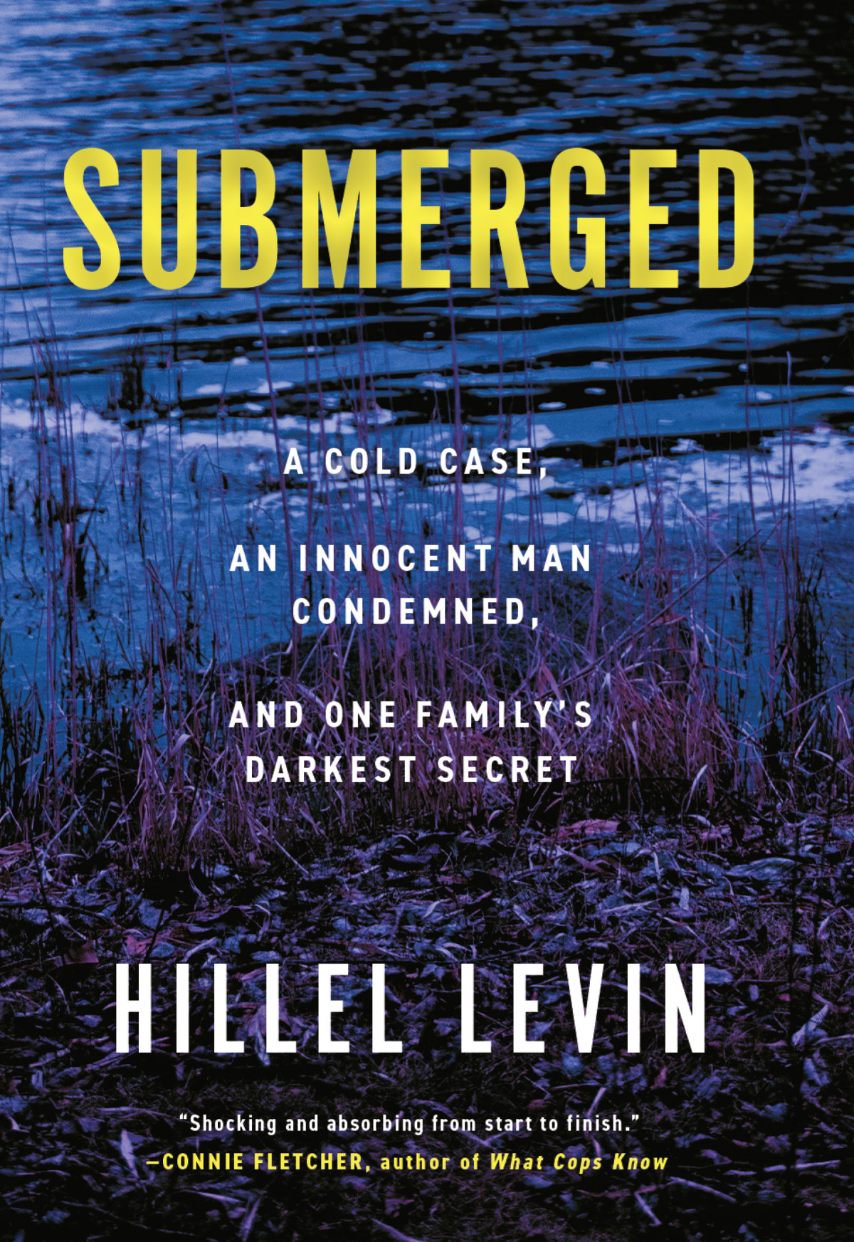 Submerged How A Cold Case Condemned An Innocent Man To Hide A Familys Darkest Secret Hillel Levin
