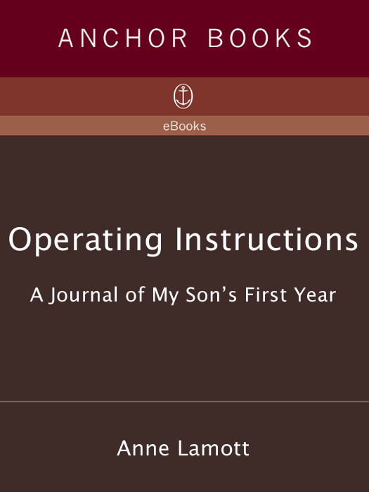 Operating Instructions A Journal Of My Sons First Year Lamott Anne