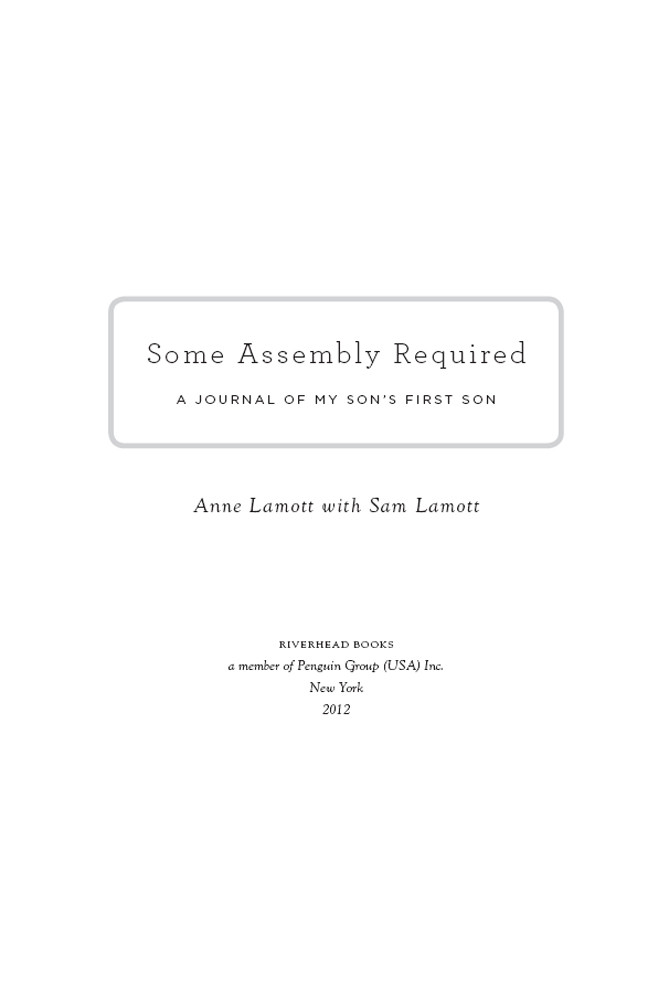 Some Assembly Required A Journal Of My Sons First Son Lamott Anne Lamott Sam