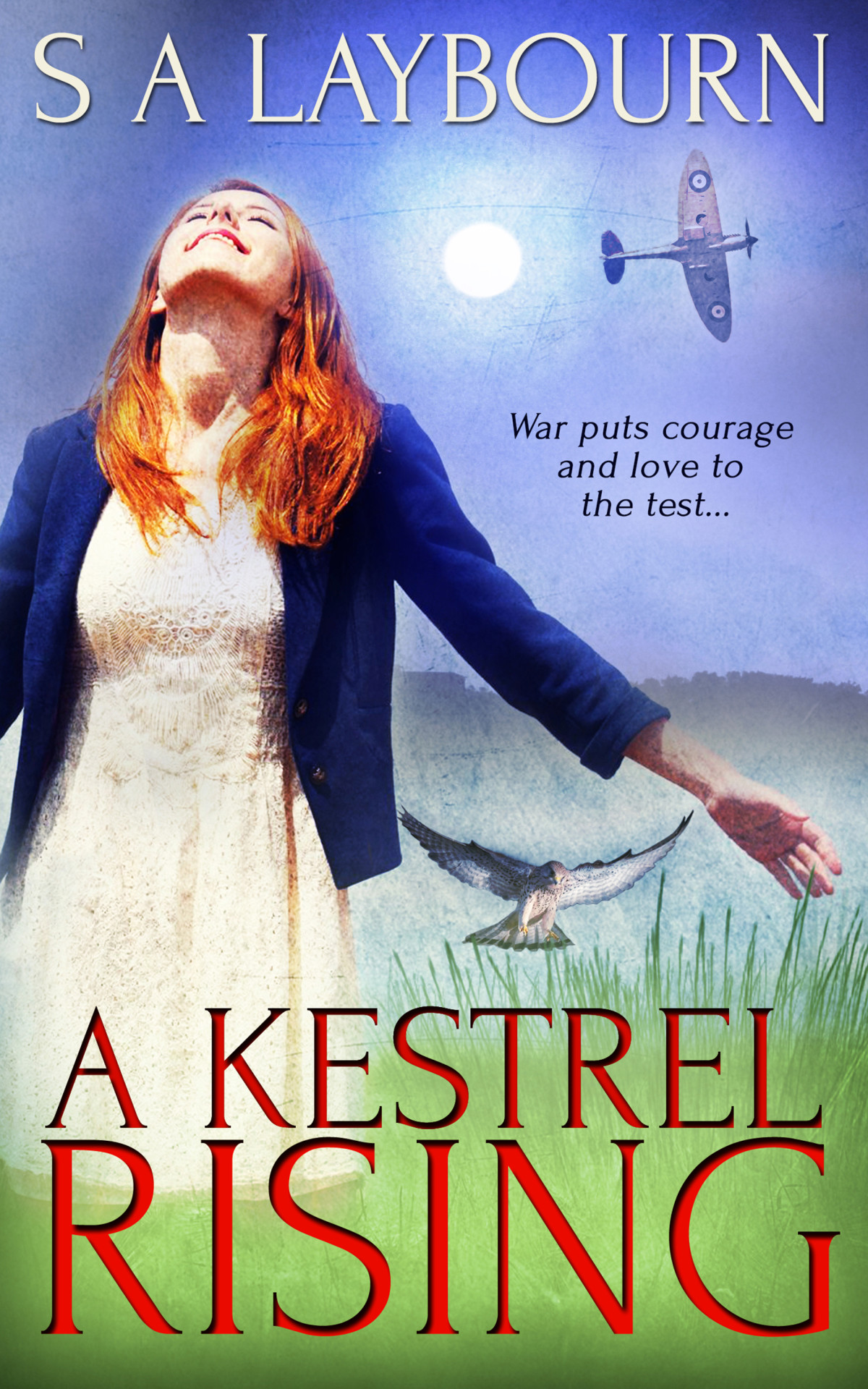 A Kestrel Rising Laybourn S A