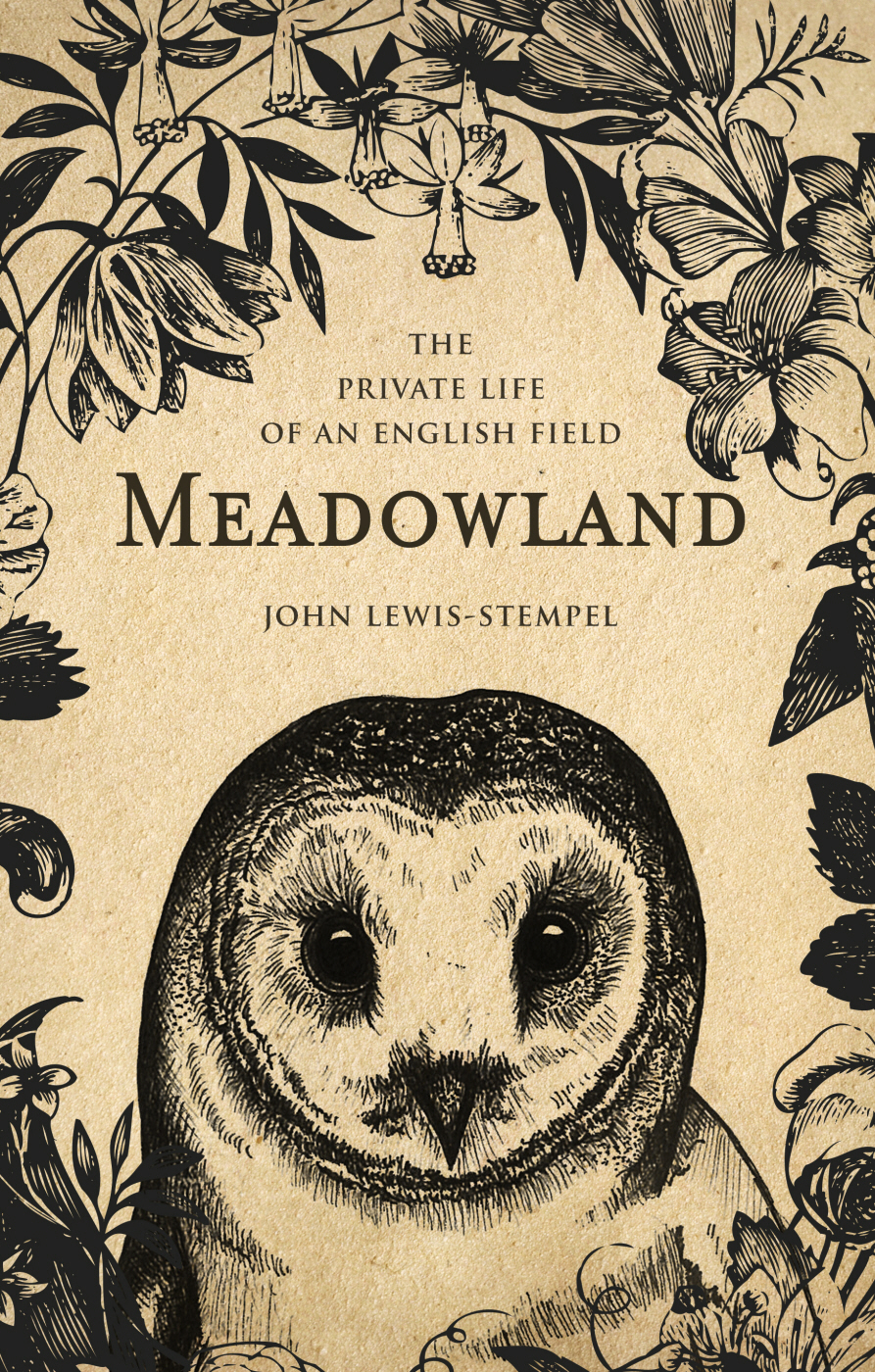 Meadowland John Lewisstempel