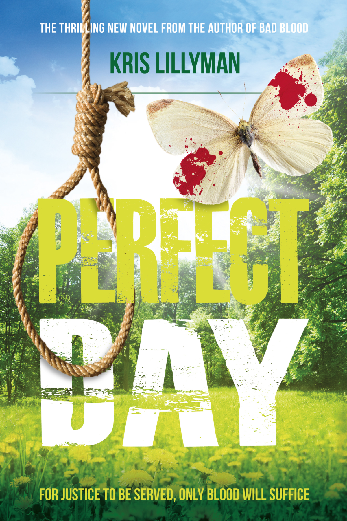 Perfect Day Lillyman Kris