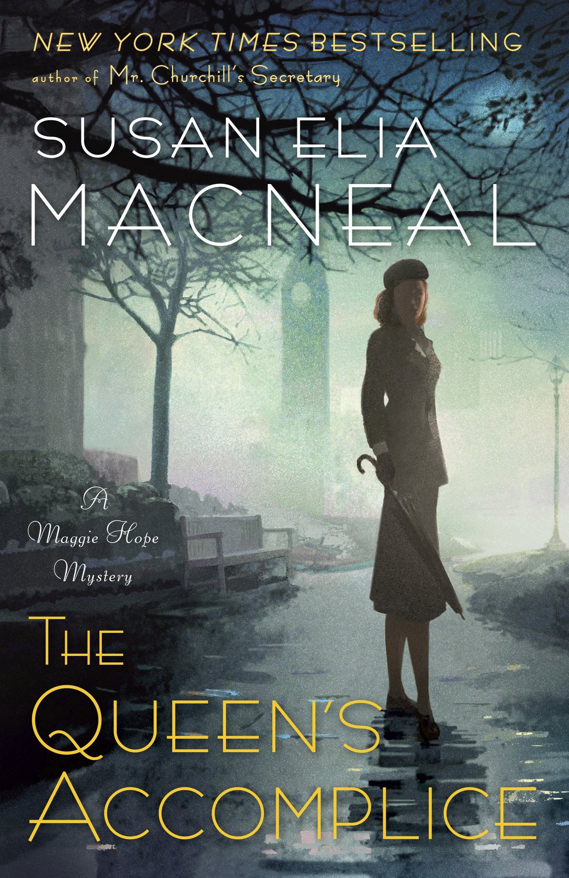 The Queens Accomplice Susan Elia Macneal