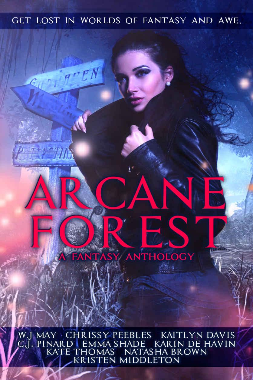 Arcane Forest A Fantasy Anthology May W J Peebles Chrissy Pinard C J Middleton Kristen