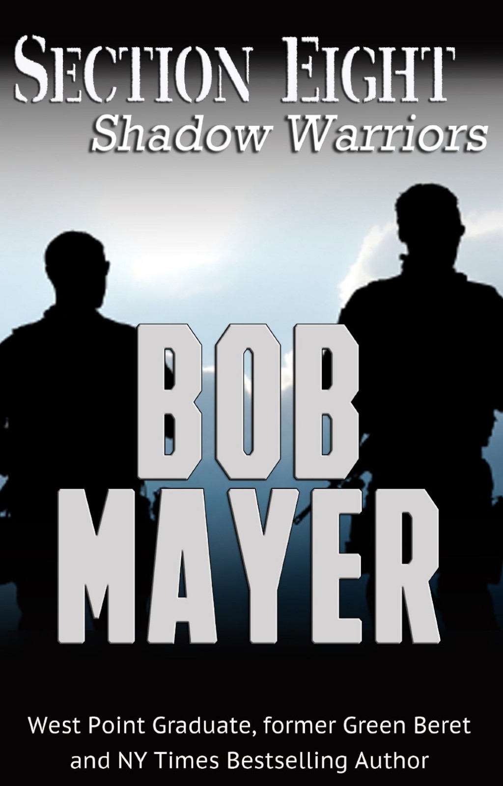 Section 8 Mayer Bob