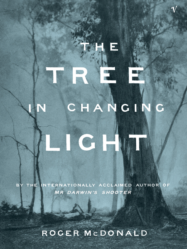 The Tree In Changing Light Mcdonald Roger