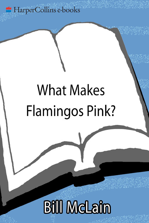 What Makes Flamingos Pink A Colorful Collection Of Q As For The Unquenchably Curious Mclain Bill