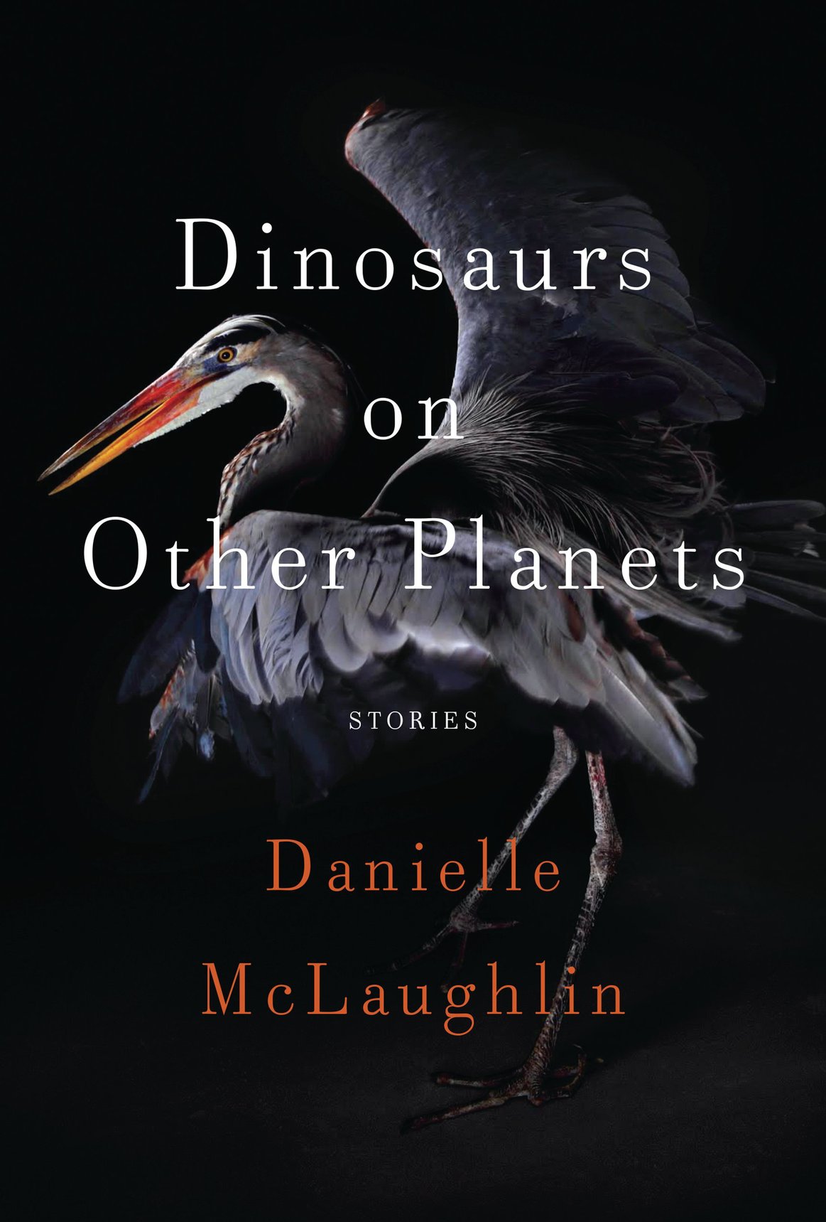Dinosaurs On Other Planets Stories Mclaughlin Danielle