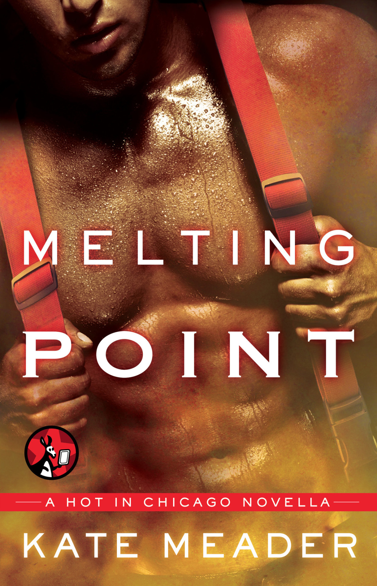 Melting Point Meader Kate