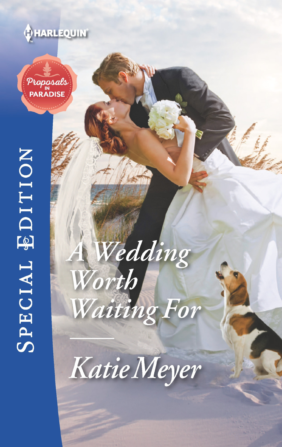 A Wedding Worth Waiting For Meyer Katie
