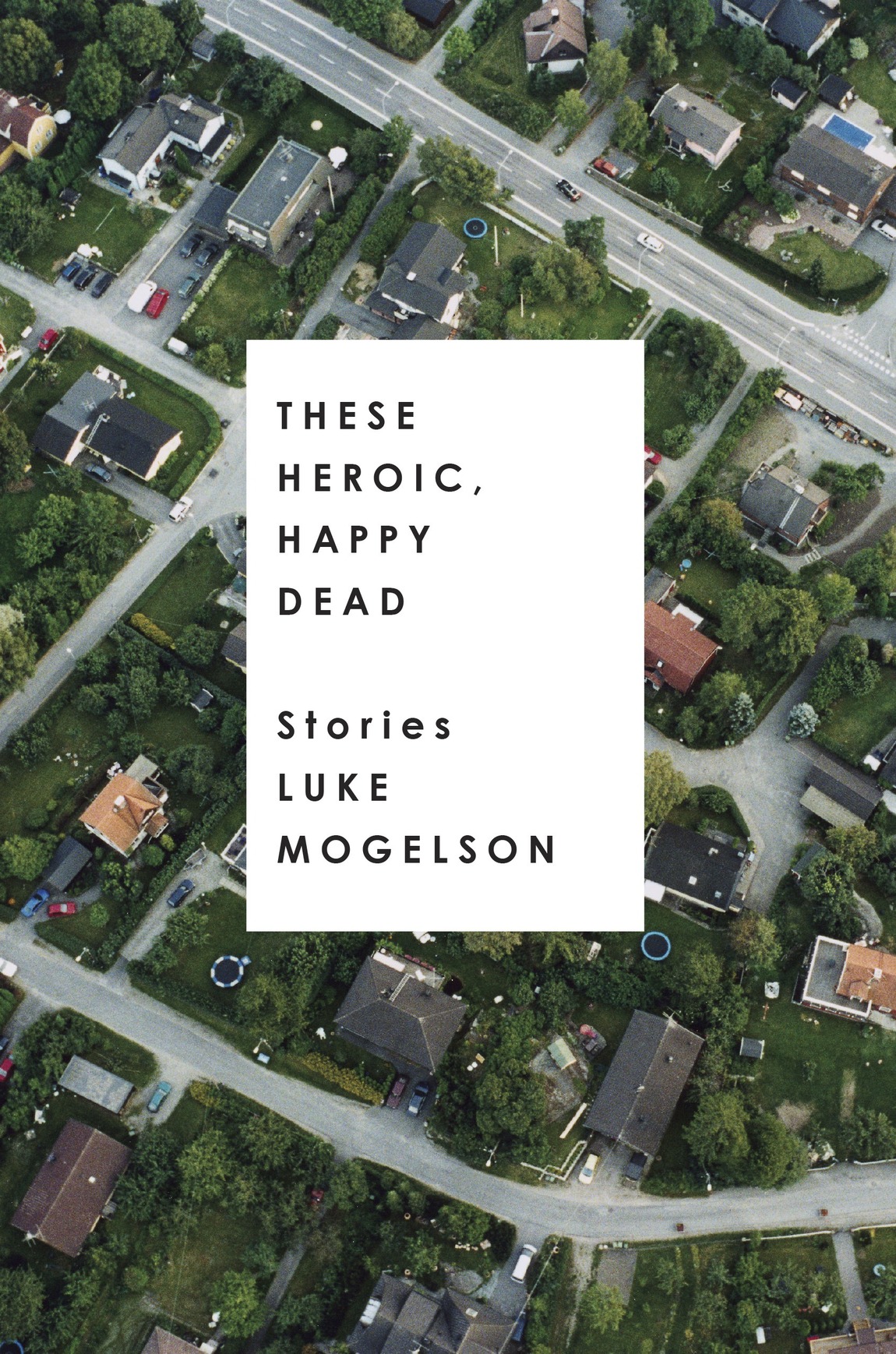 These Heroic Happy Dead Stories Mogelson Luke