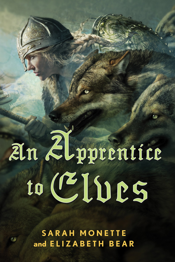 An Apprentice To Elves Monette Sarah Bear Elizabeth