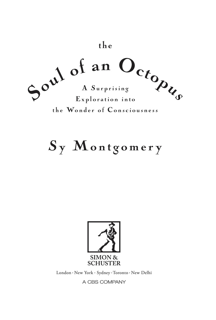 The Soul Of An Octopus Sy Montgomery