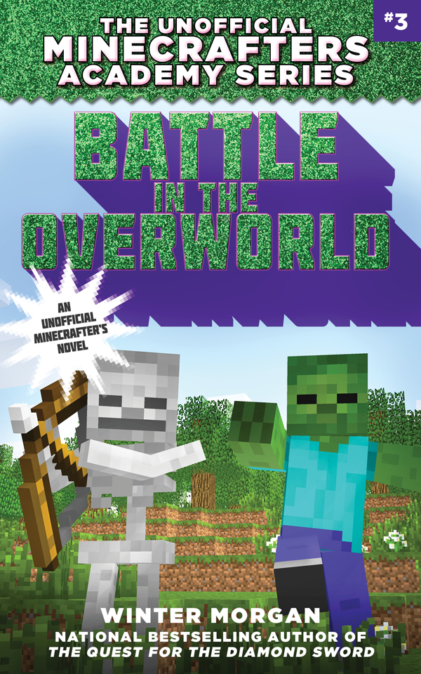Battle In The Overworld Morgan Winter
