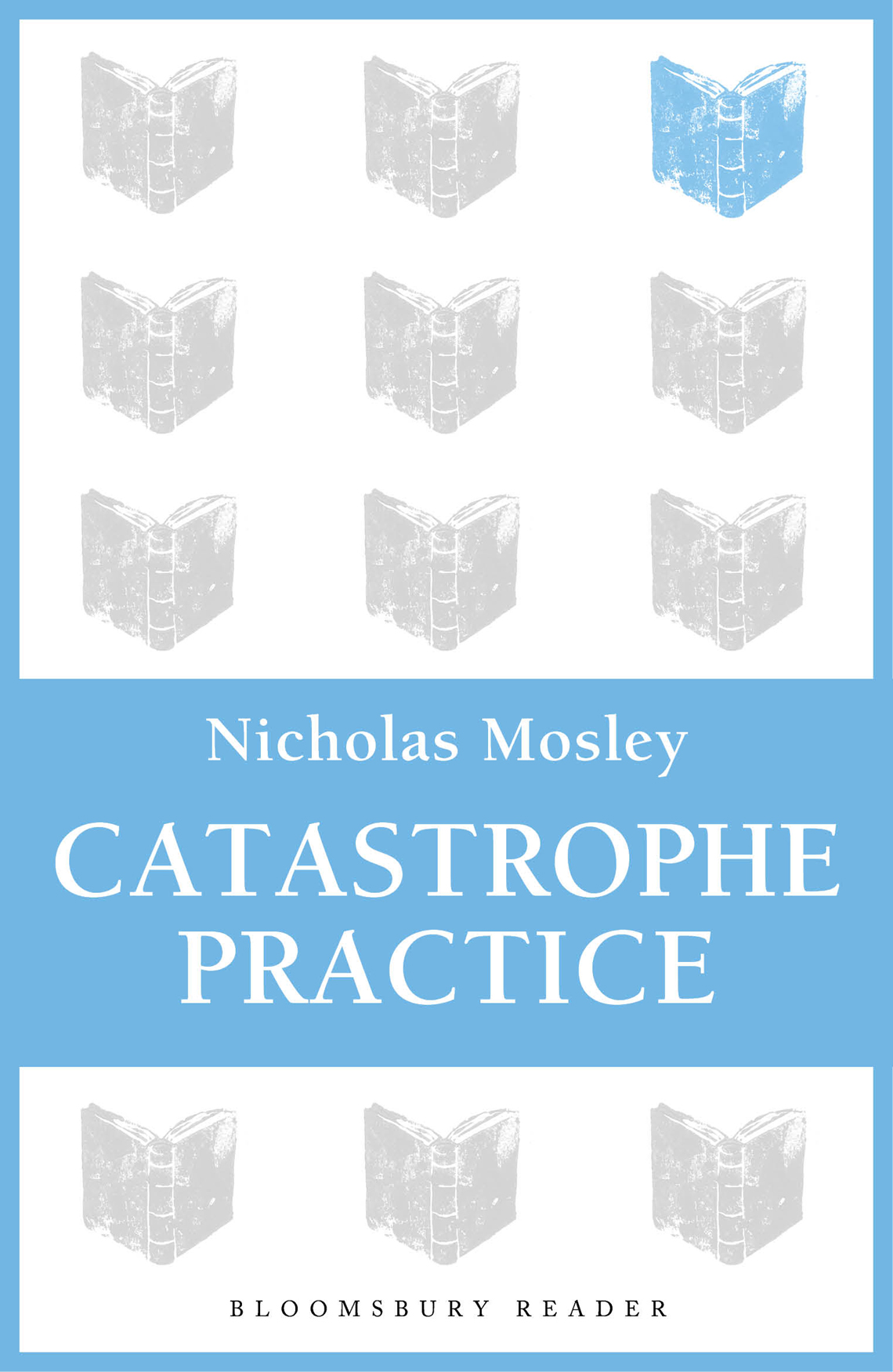 Catastrophe Practice Mosley Nicholas