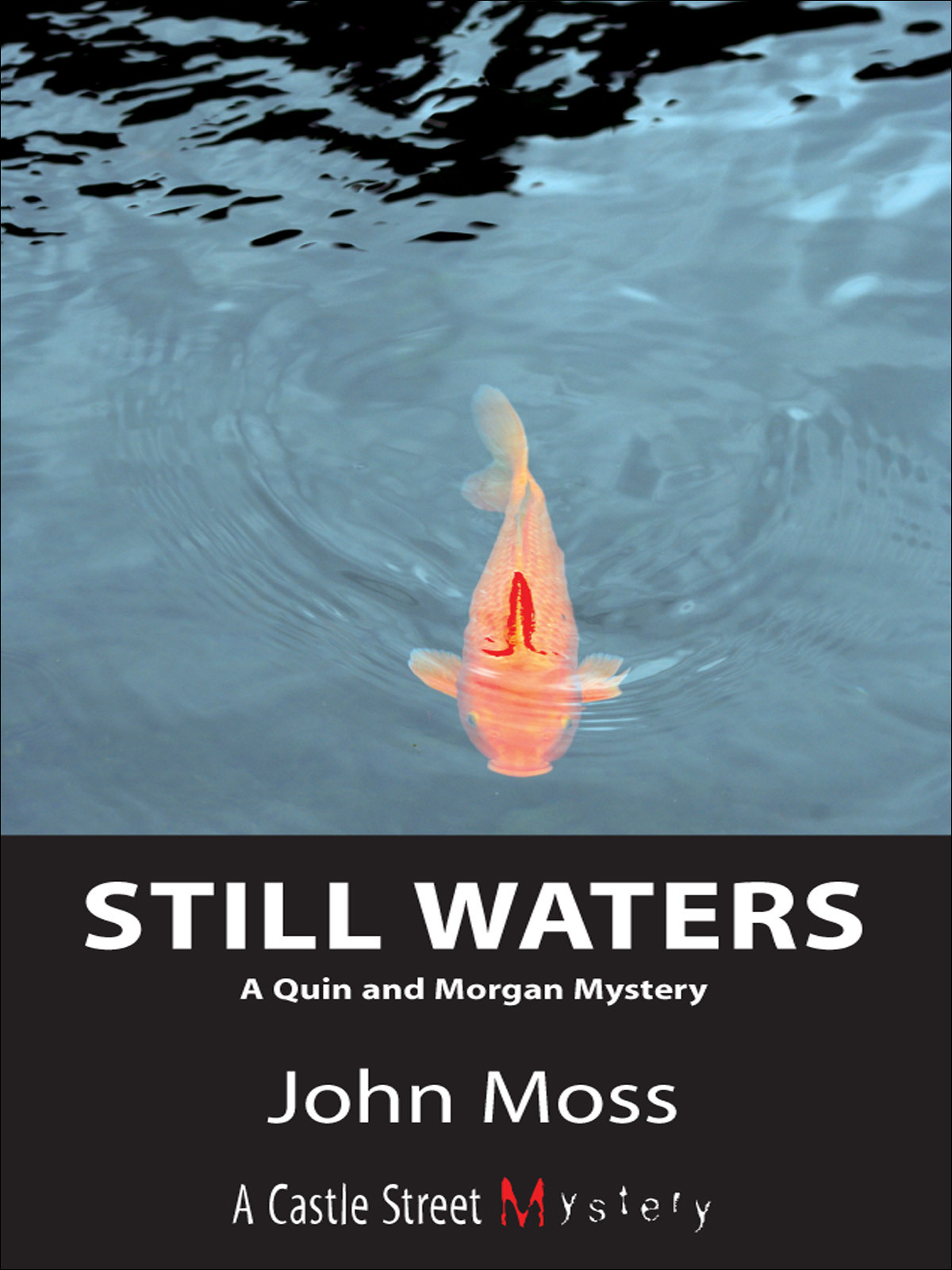 Still Waters Moss John