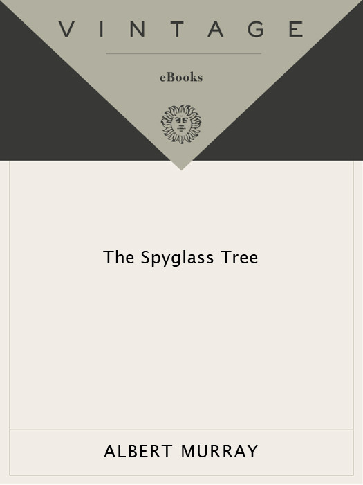 The Spyglass Tree Murray Albert