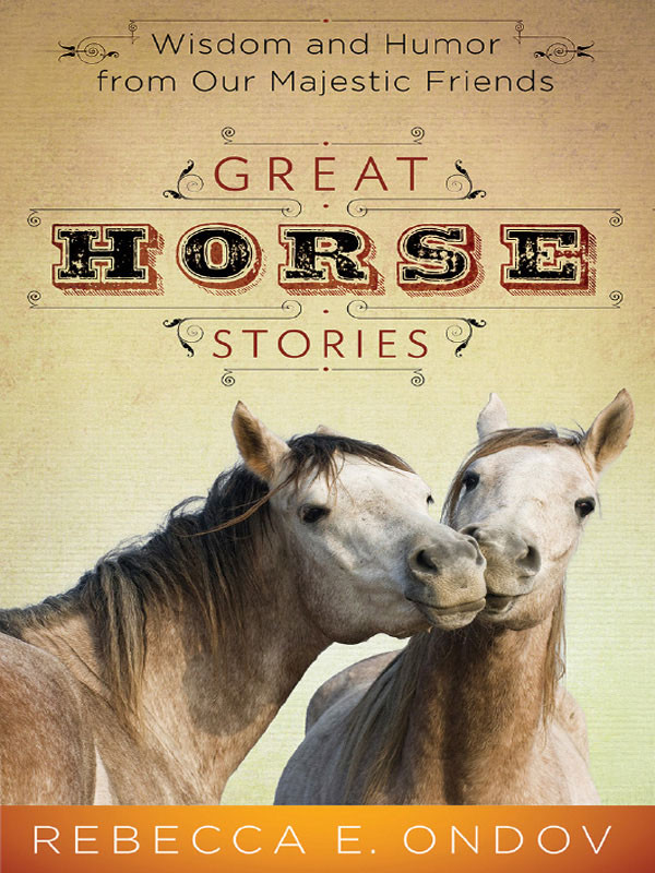 Great Horse Stories Wisdom And Humor From Our Majestic Friends Ondov