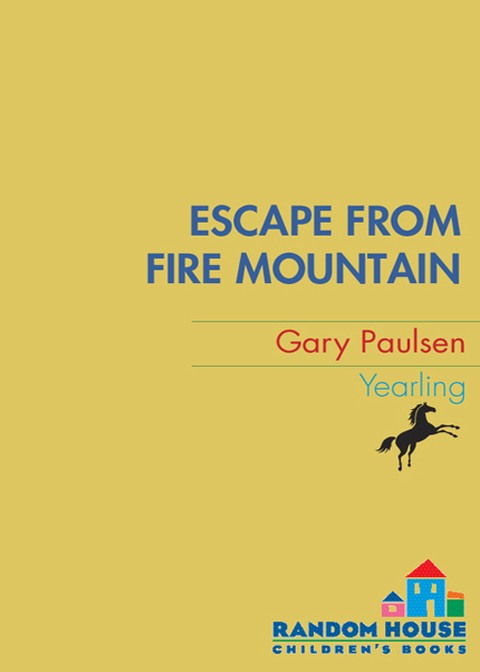 World Of Adventure 03 Escape From Fire Mountain Reissue Gary Paulsen
