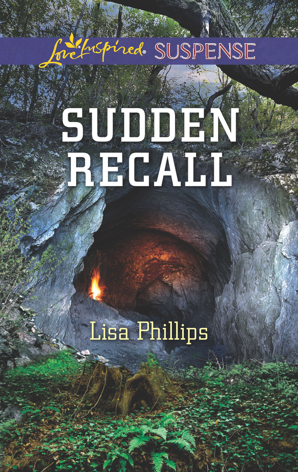 Sudden Recall Lisa Phillips