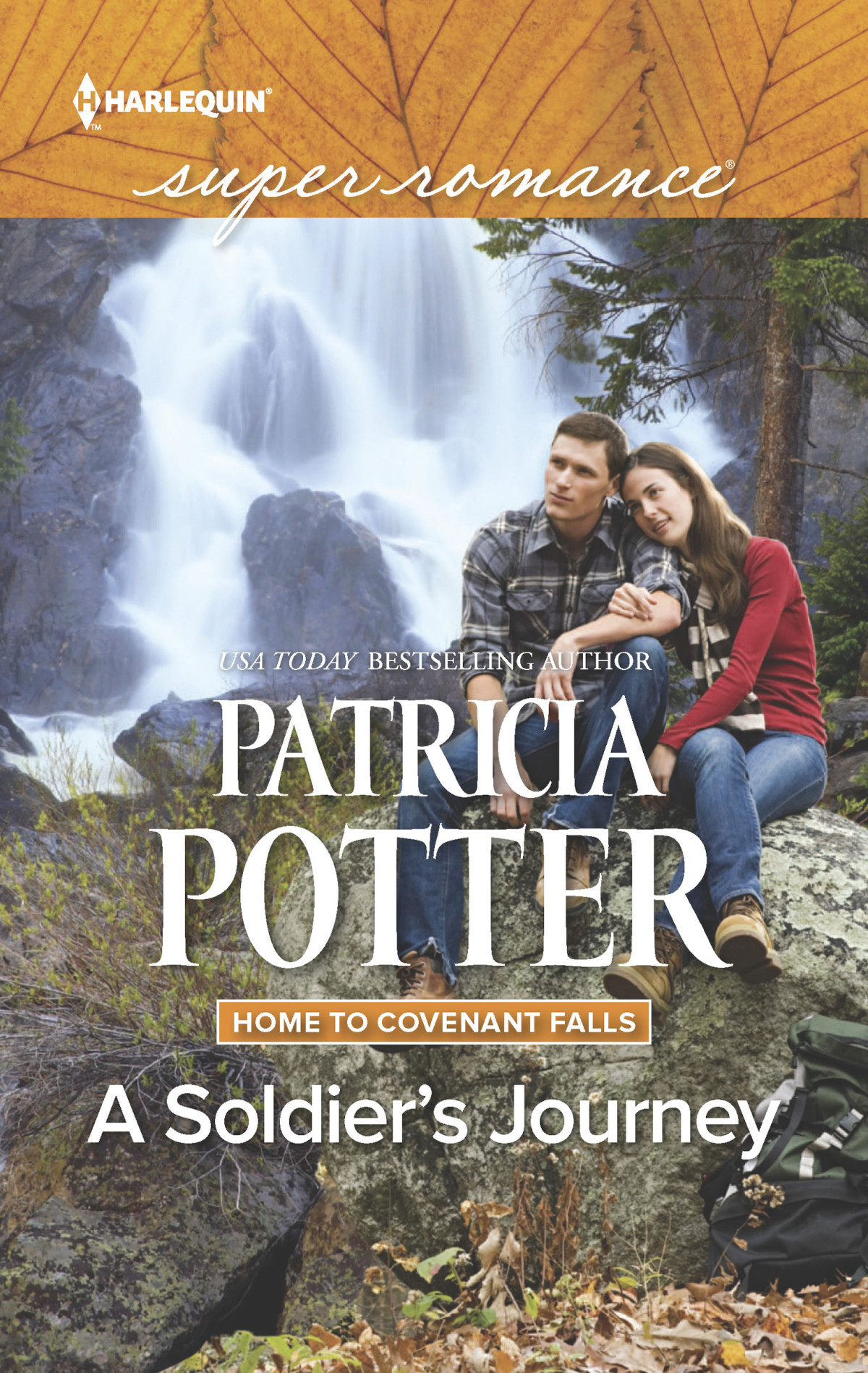 A Soldiers Journey Potter Patricia
