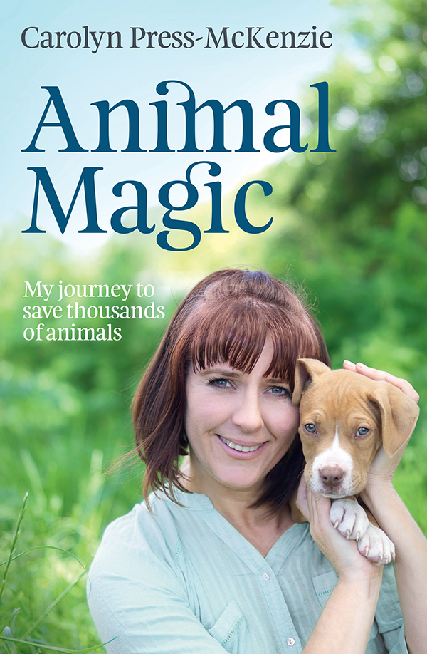 Animal Magic Carolyn Pressmckenzie