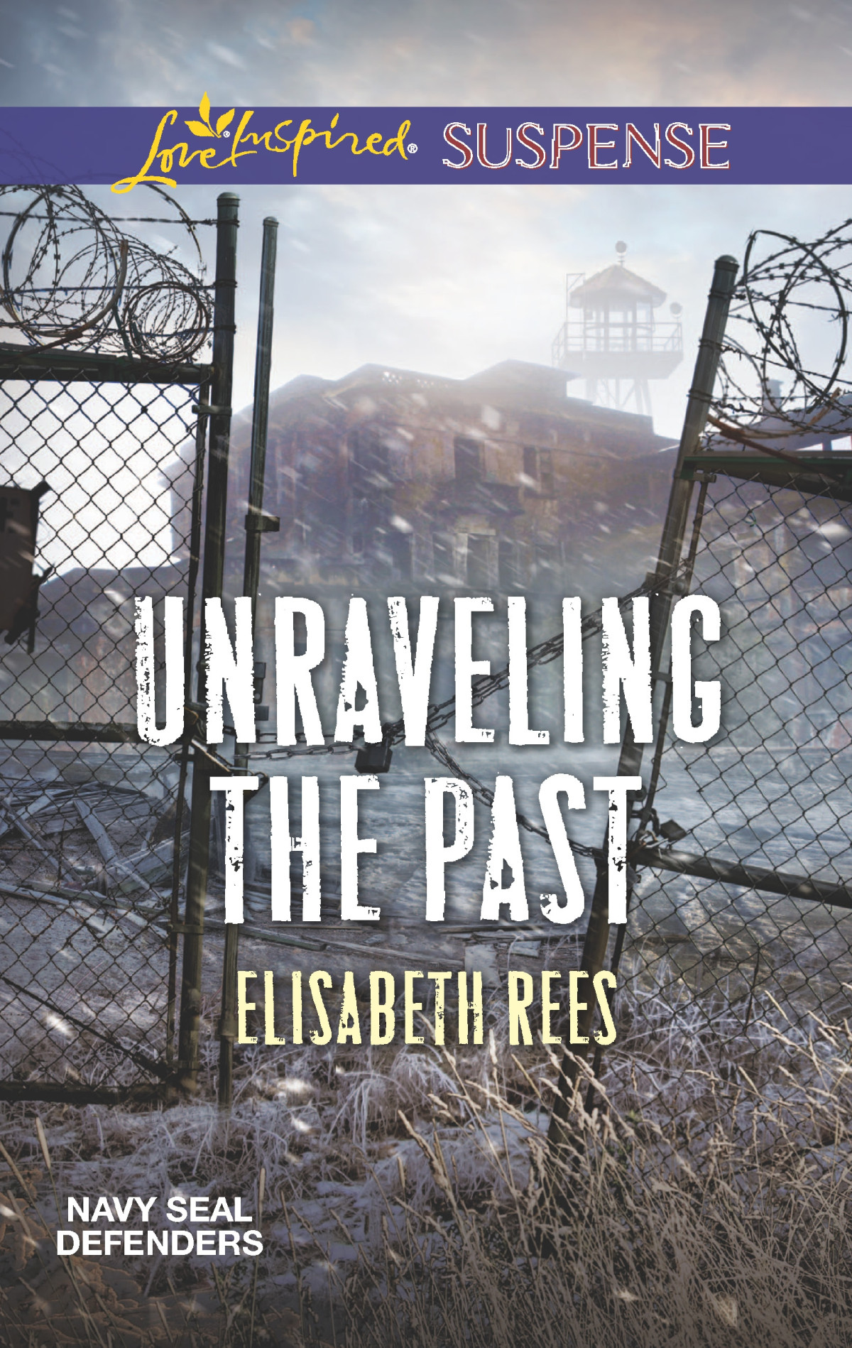 Unraveling The Past Elisabeth Rees