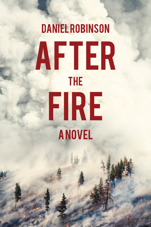 After The Fire Robinson Daniel